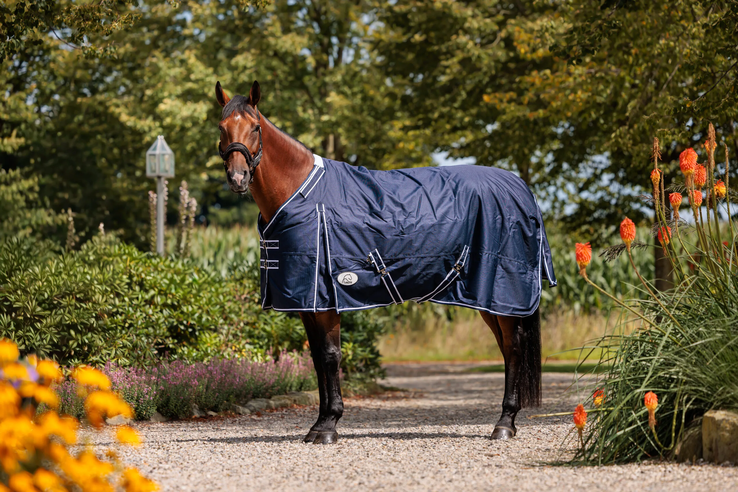 Equi-M Combi-Blanket 150 Gramm Outdoor-Decke