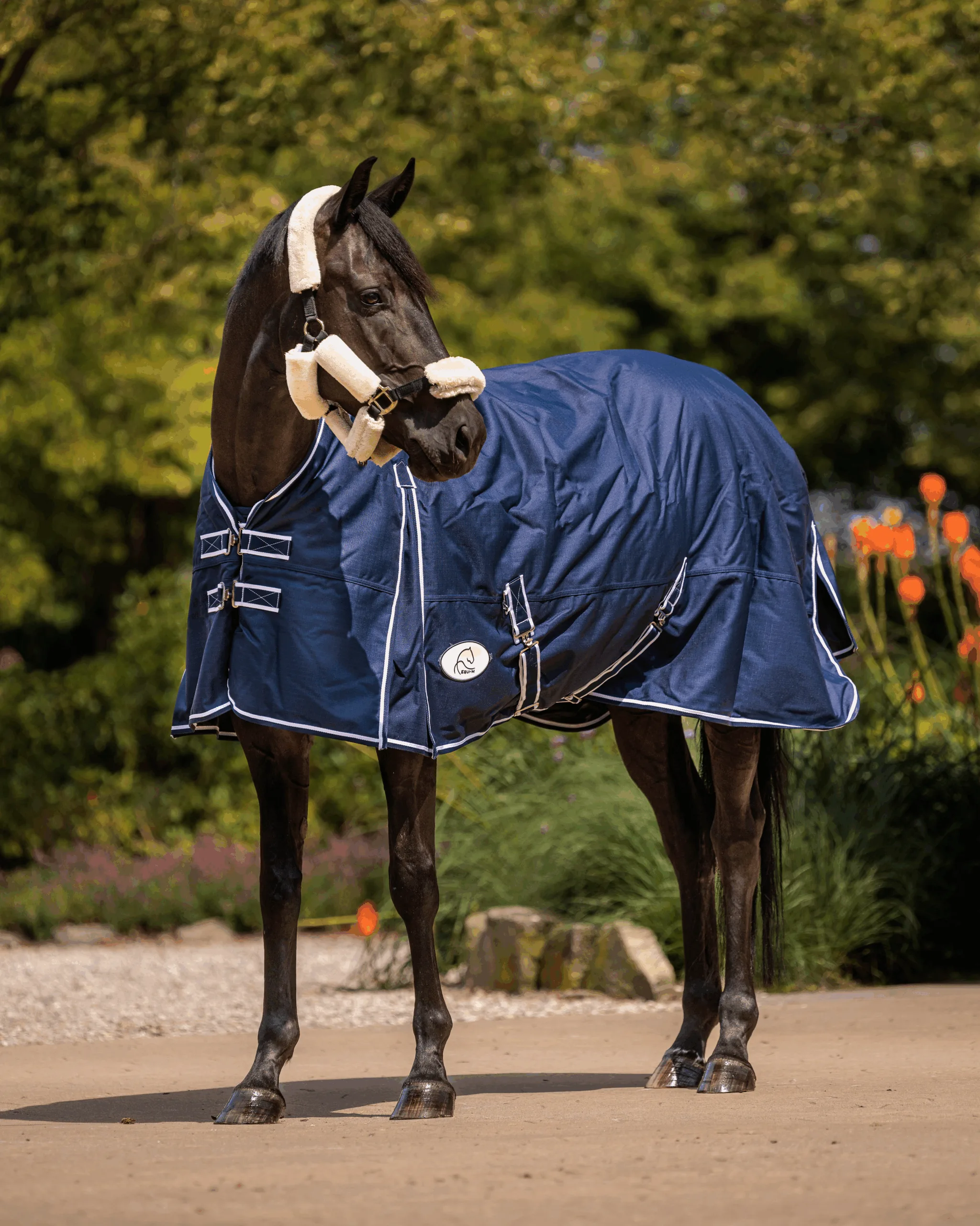Equi-M Combi-halsdeken 300 gram winterdeken - Bild 5