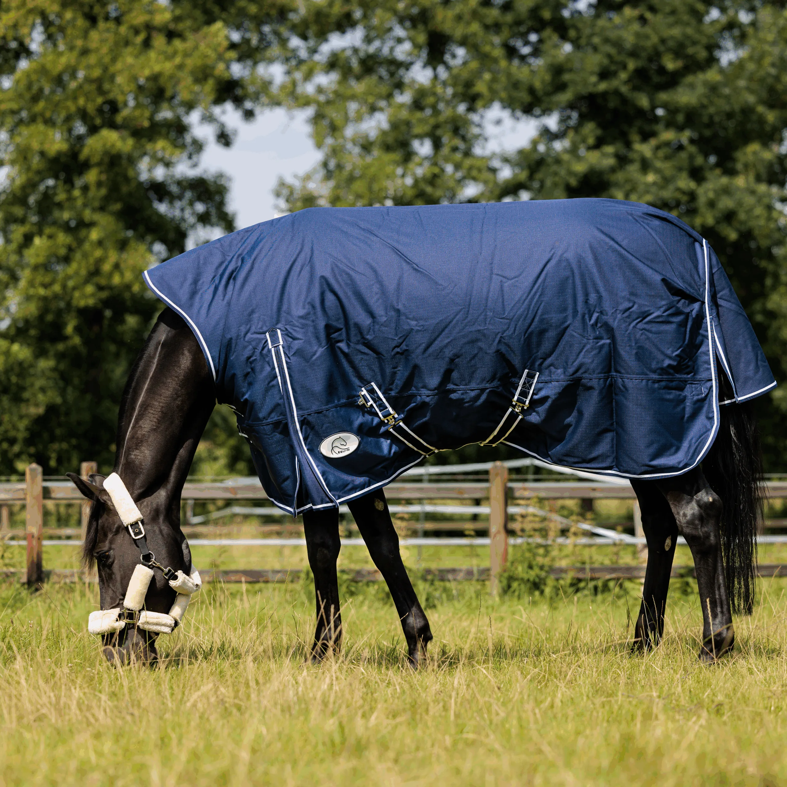Equi-M Combi-halsdeken 300 gram winterdeken - Bild 3
